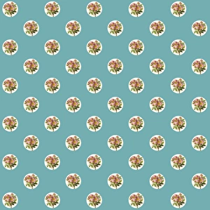 Images Dated 29th April 2016: Repeating Pattern - Pink Roses - Circles