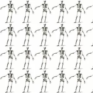 Textiles Collection: Repeating Pattern - Skeletons