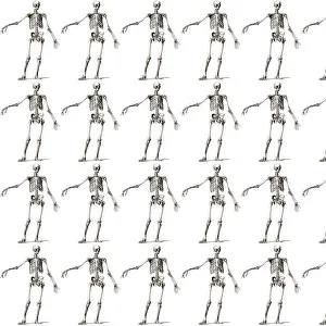 Form Collection: Repeating Pattern - Skeletons