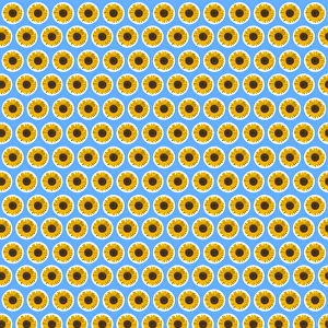 Images Dated 2nd June 2016: Repeating Pattern - Sunflowers - Blue Background