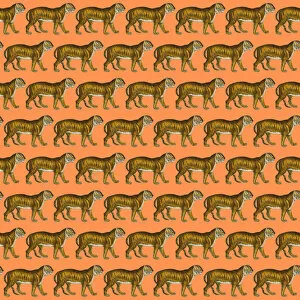 Images Dated 7th December 2017: Repeating Pattern - Tigers - orange background