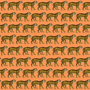 Images Dated 7th December 2017: Repeating Pattern - Tigers - orange background