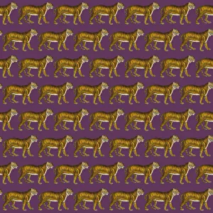 Images Dated 7th December 2017: Repeating Pattern - Tigers - purple background