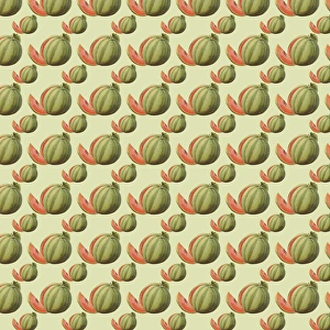 History Repeats Itself Gallery: Repeating Pattern - Watermelons