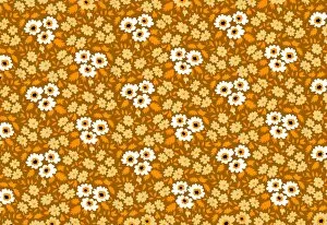 Images Dated 22nd November 2016: Repeating Pattern - Yellow and White Flowers