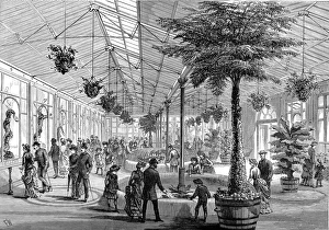 Images Dated 22nd February 2005: The Reptile House of London Zoo, 1883
