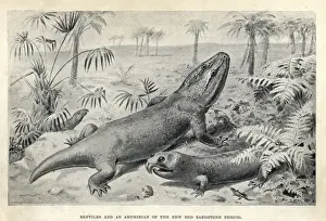 Paleontology Prints: Reptiles and amphibian of the Triassic