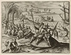 Turtle Prints: REPTILES / TURTLES 1598