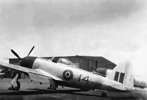 Republic P-47 Thunderbolt