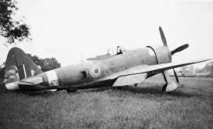 Republic P-47 Thunderbolt
