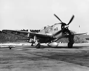 Republic P-47 Thunderbolt