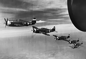 Low Wing Prints: Republic P-47D Thunderbolt