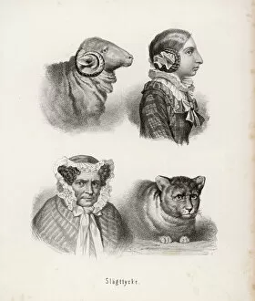 Bonnet Collection: Resemblance of animals and their owners