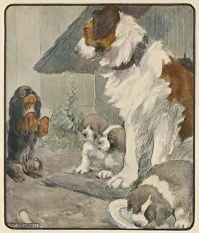Respectful Prints: Respectful Dog