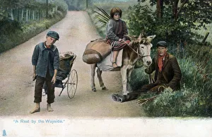 Images Dated 23rd December 2019: A rest by the wayside