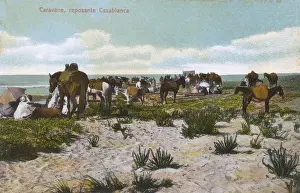 Dune Prints: Resting caravan - Casablanca, Morocco