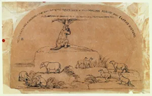 Theria Gallery: Restorations of animals from Tertiary period
