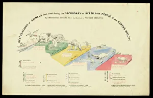Euornithopoda Collection: Restorations of secondary period animals