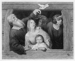 Return of the Dove