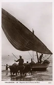 Trawler Prints: The return of the fishing trawler - Valencia, Spain