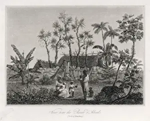 Reunion Prints: Reunion / Native Home