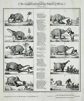 Chivalrous Prints: The revengeful and chivalrous elephant of Africa