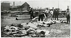 Images Dated 1st February 2019: Revolutionaries killed by Americans at Veracruz