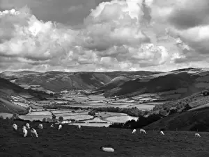Rheidol Valley