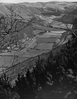 Rheidol Valley