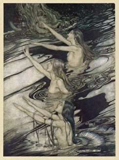 Rhinemaidens Warn s