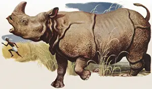 Rhino Chasing Native Date: 1950