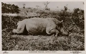 Rhinoceros Hunting, Bahr-el-Ghazal, South Sudan, Africa