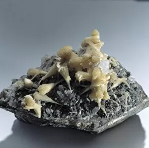 Rhodochrosite manganocalcite