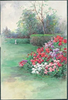 Rhododendhron hedge