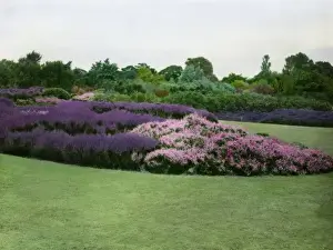 Malby Prints: RHS garden at Wisley, Woking, Surrey
