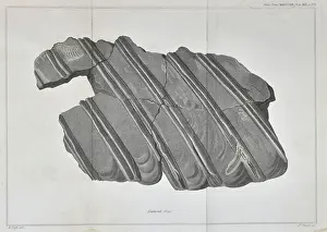 Basire Prints: Ribs of an ichthyosaur