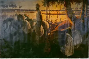 Rice Field poster