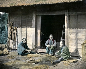 Japan Rice Farming 1890S
