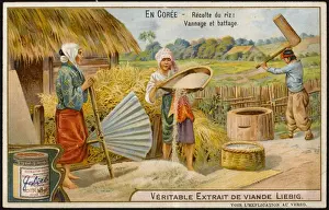 Rice in Korea