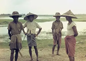 Paddy Prints: Rice - paddy workers - Rangoon