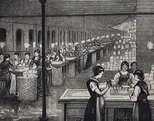 Rice starch factory of E. Hoffman and Company