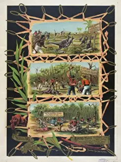 Importer Prints: Richard Young New York importer & manufacturer