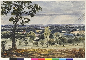Images Dated 3rd February 2011: Richmond Hill