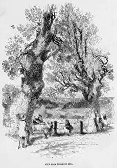 Richmond, Surrey