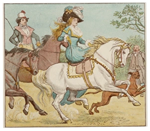 Horses Gallery: Ride a Cock Horse