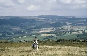 Luccombe Prints: Rider above Luccombe Woods, Exmoor, Somerset