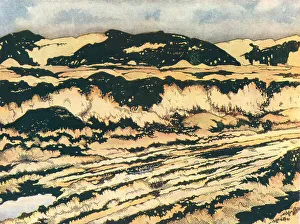 Ridge Prints: The Ridge