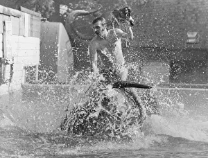 Dolphin Prints: Riding a Dolphin