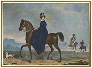 Amazone Gallery: Riding Habit / Albanesi