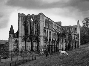 Rievaulx Abbey